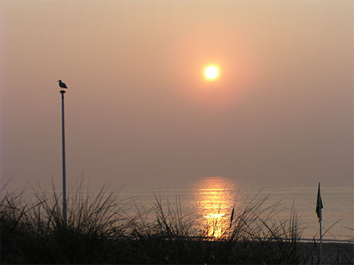 Zandvoort (© Tobias Matkowitz)