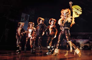 "Cats" - Das Musical (© Brinkhoff/Mögenburg/Theater am Potsdamer Platz)