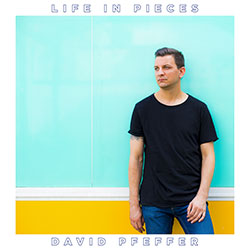 David Pfeffer "Life In Pieces"