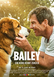 "Bailey - Ein Hund kehrt zurück" (© 2019 Constantin Film Verleih GmbH)