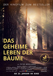 "Das geheime Leben der Bäume" Filmplakat (© 2019 Constantin Film Verleih GmbH)