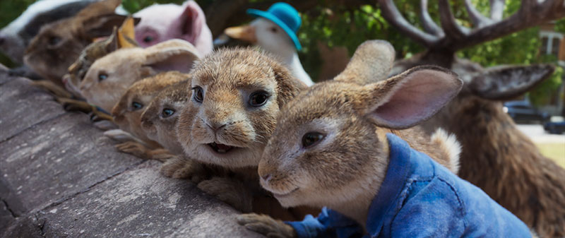 "Peter Hase™ 2 - Ein Hase macht sich vom Acker" Szenenbild (© 2020 Sony Pictures Entertainment Deutschland GmbH)