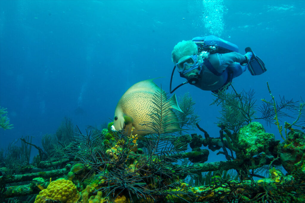 "Wonders Of The Sea" Szenenbild (© Kinostar)