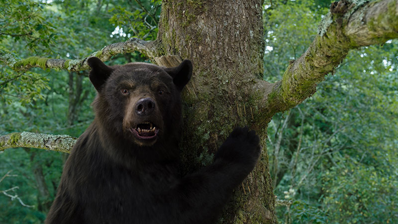 "Cocaine Bear" Szenenbild (© 2023 Universal Studios. All Rights Reserved.)