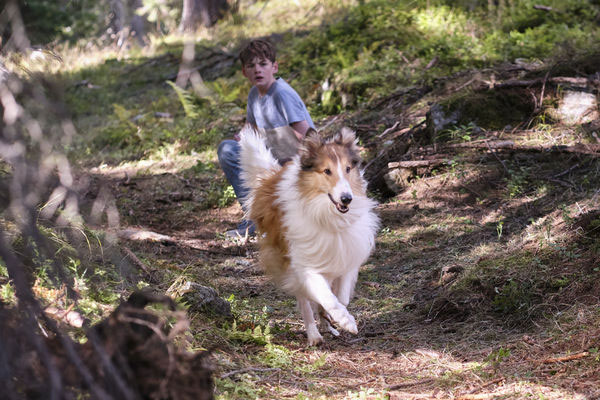 "Lassie - Ein neues Abenteuer" Szenenbild (© LEONINE Studios / LCH 2 Film 2022)