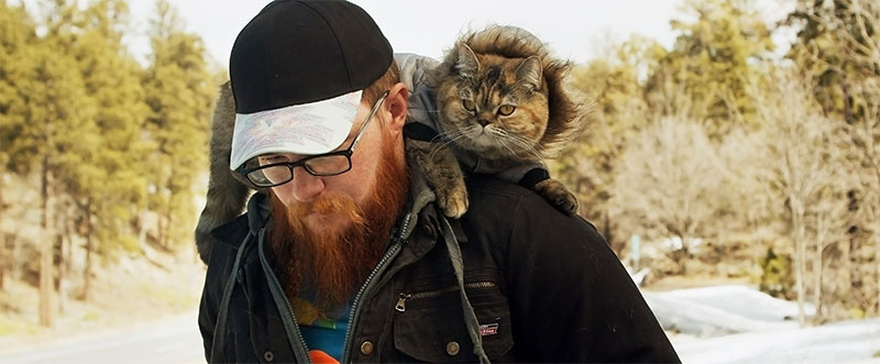 "Cat Daddies - Freunde für sieben Leben" Szenenbild (© 2023 Nameless Media GmbH. Alle Rechte vorbehalten.)