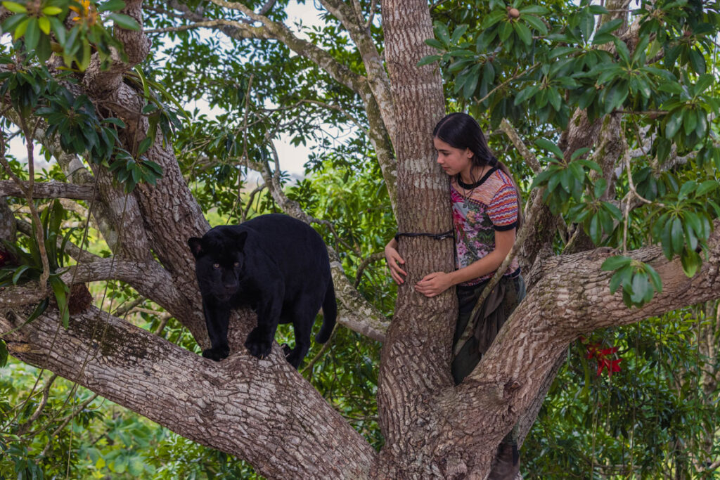 "Ella und der schwarze Jaguar" Szenenbild (© 2023 MAI JUIN PRODUCTIONS - WISHING TREE PRODUCTIONS - STUDIOCANAL)