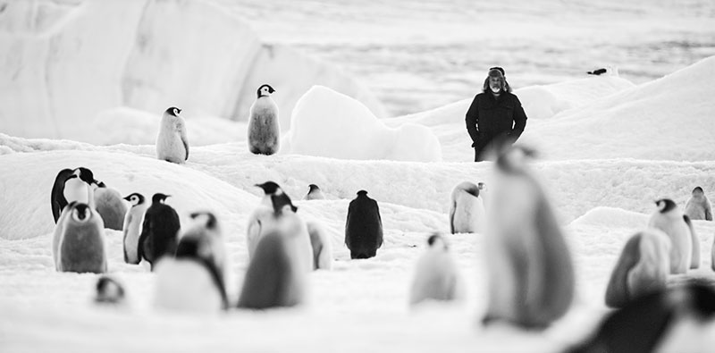 "Rückkehr zum Land der Pinguine" Szenenbild (© Paprika Films / Luc Jacquet)