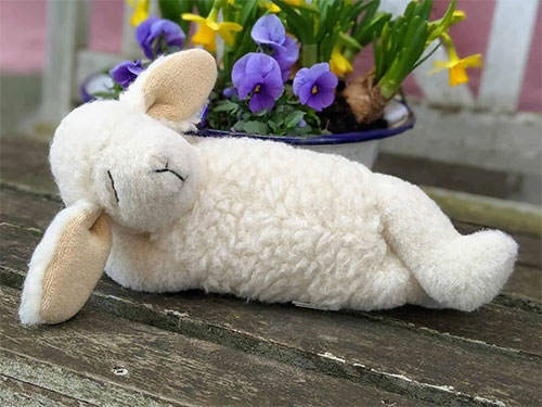 Kuschelschaf "Lotti" (© Produkte vom Schaf)