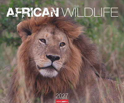"African Wildlife" (© Weingarten)